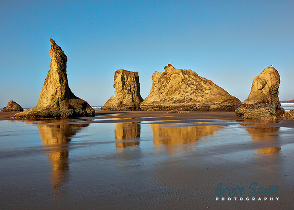 Oregon_075