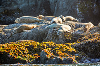 Oregon_012