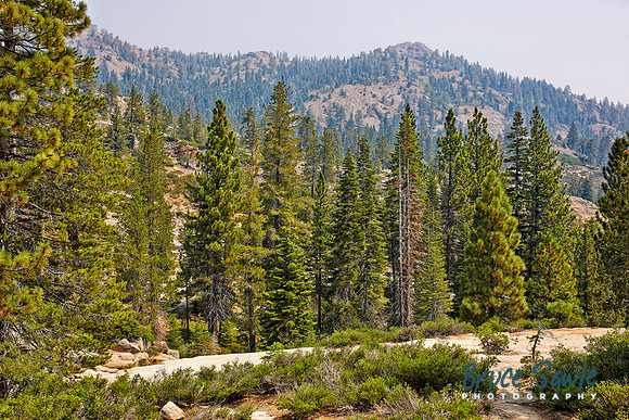 Squaw_208
