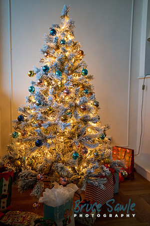 _DSC8402_1