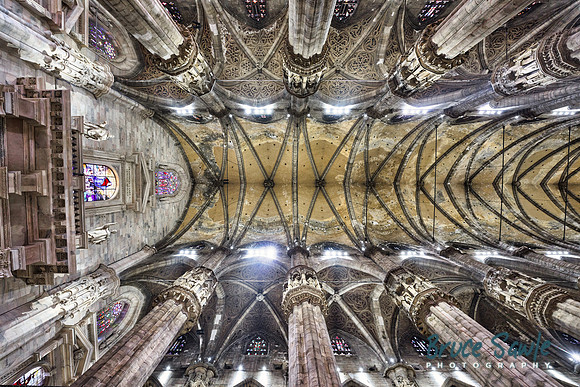 _DSC7683