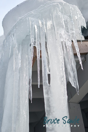 _DSC0194 1