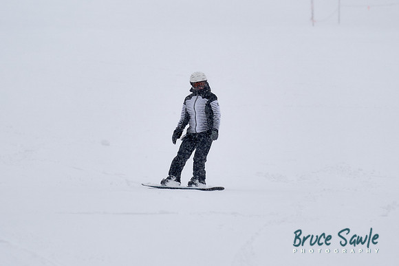 _DSC0395 1