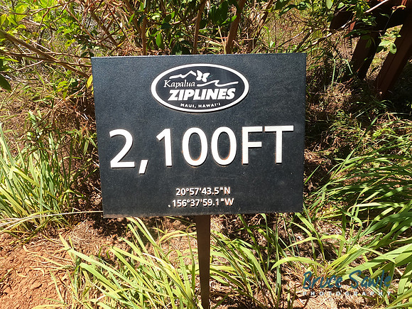GOPR3208