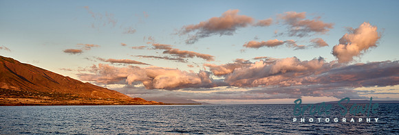 _DSC3944