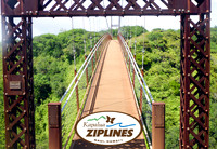 Bridge_Gate_1
