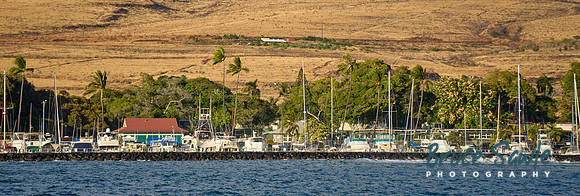 _DSC3868