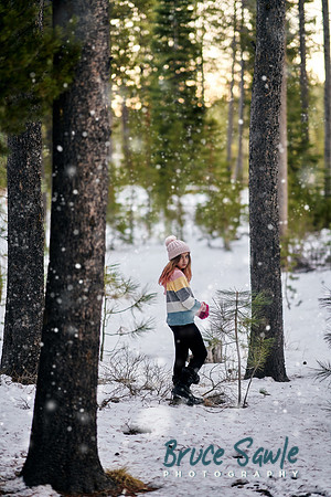 _BDS7084 1snow