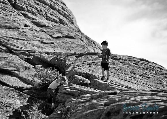 _BS_0690bw