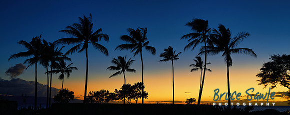 _DSC3635redo