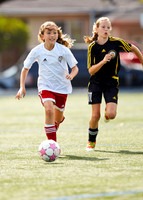 Stanford_005