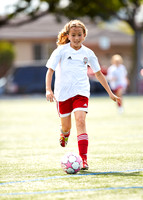 Stanford_008
