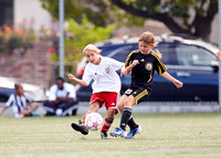 Stanford_012