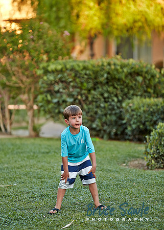 _BS_8452
