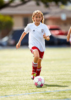Stanford_006