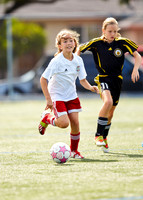 Stanford_004