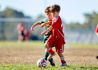 _BS_6491