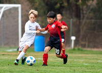 _BDS9717 1