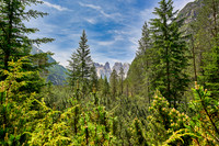 _DSC4705