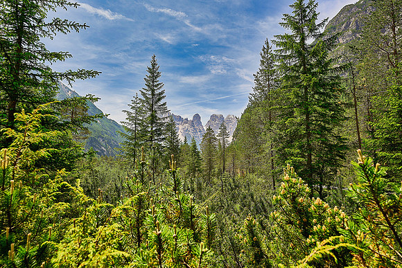 _DSC4705